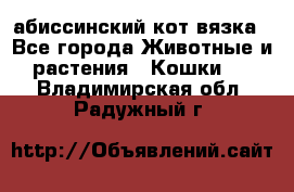абиссинский кот вязка - Все города Животные и растения » Кошки   . Владимирская обл.,Радужный г.